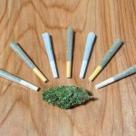 The Benefits of Pre-Rolled Joints: Why More Smokers Are Switching